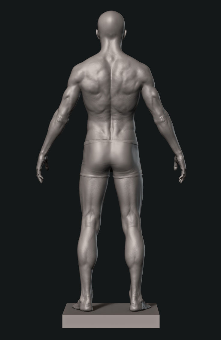 Man Detailed Basemesh 3D print model_2