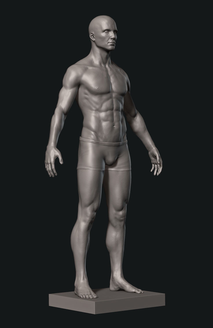 Man Detailed Basemesh 3D print model_5