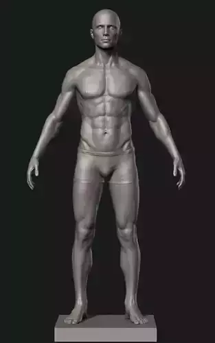 Man Detailed Basemesh 3D print model