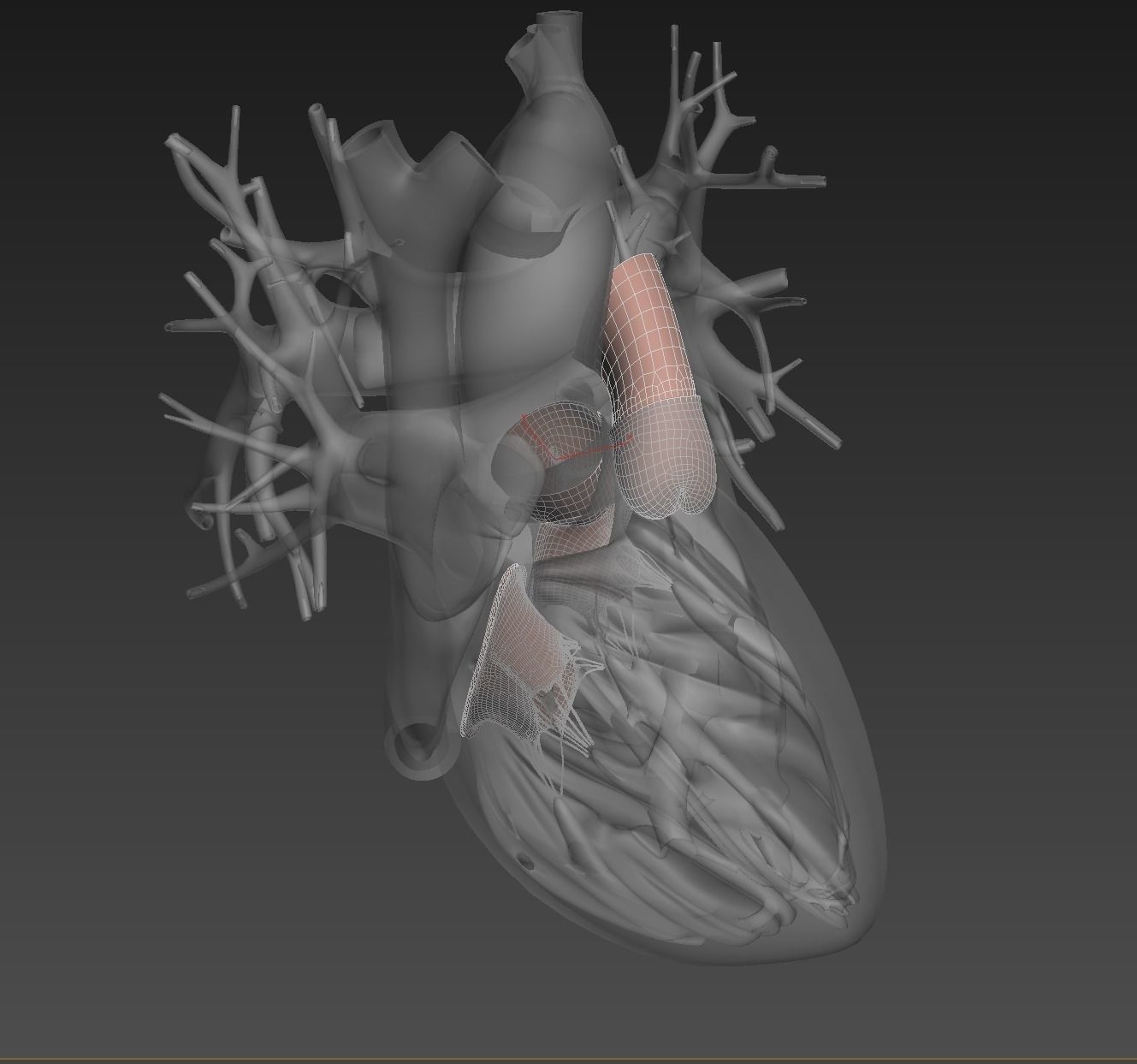 Human heart animated v3 with interior and animation 3D model_12