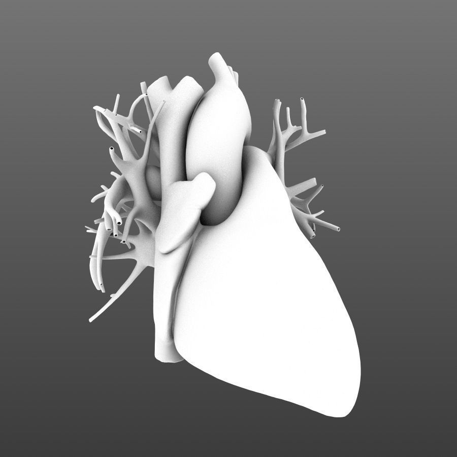 Human heart animated v3 with interior and animation 3D model_5