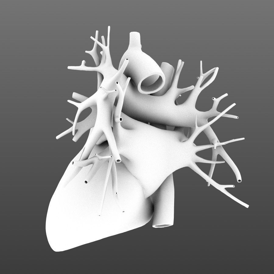 Human heart animated v3 with interior and animation 3D model_6
