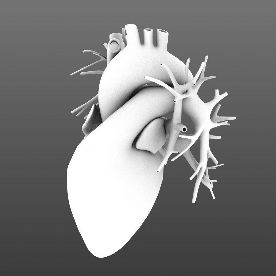 Human heart animated v3 with interior and animation 3D model_7