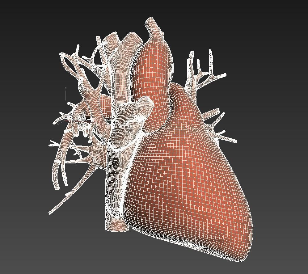 Human heart animated v3 with interior and animation 3D model_8