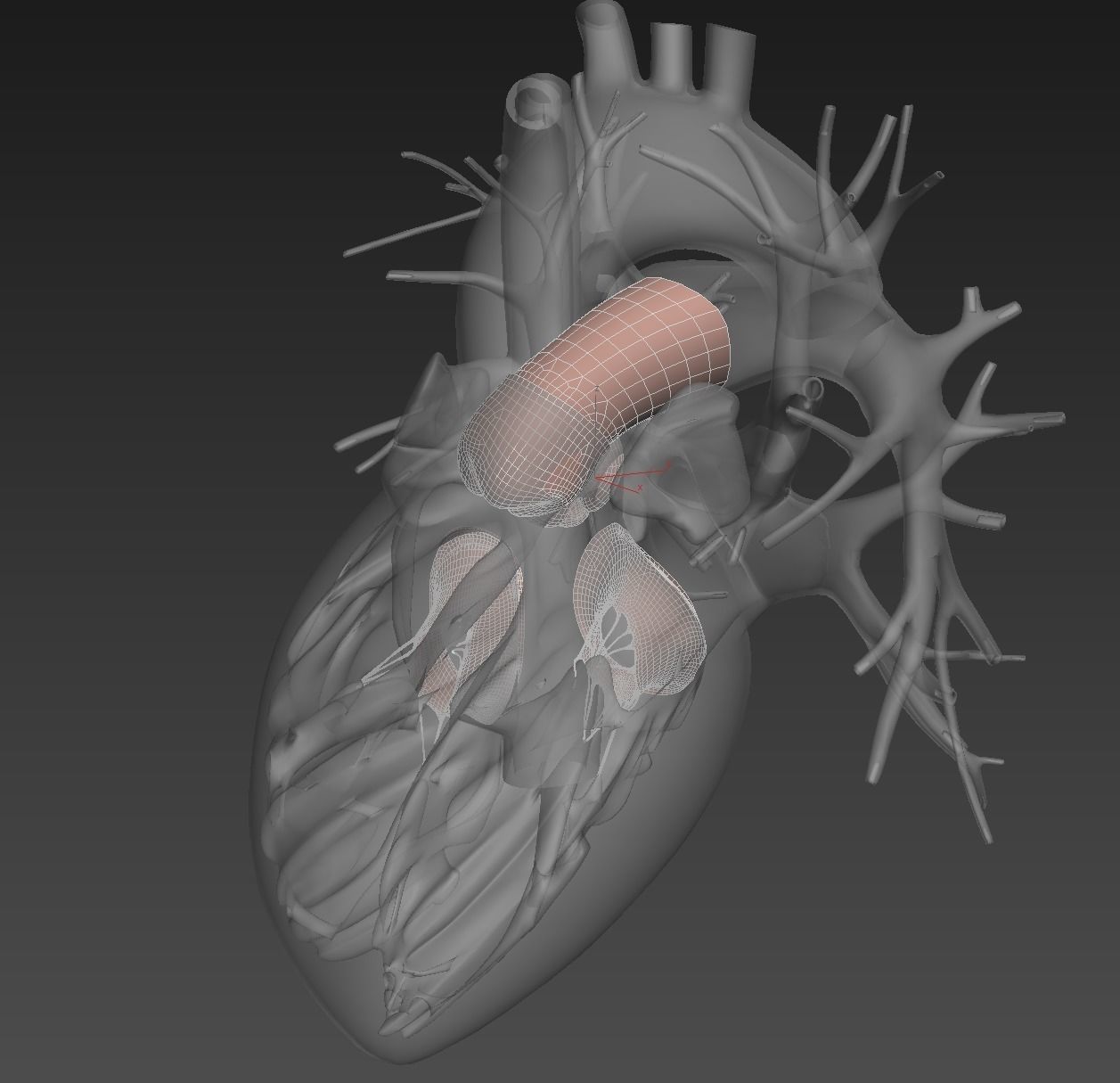 Human heart animated v3 with interior and animation 3D model_11