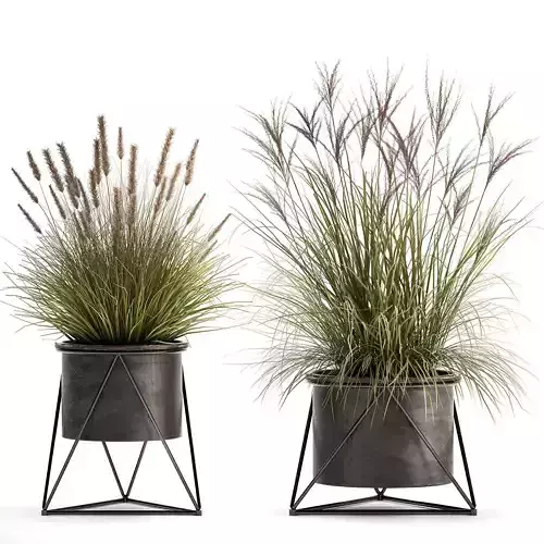 Reeds in a rusty Flowerpot for the interior 980