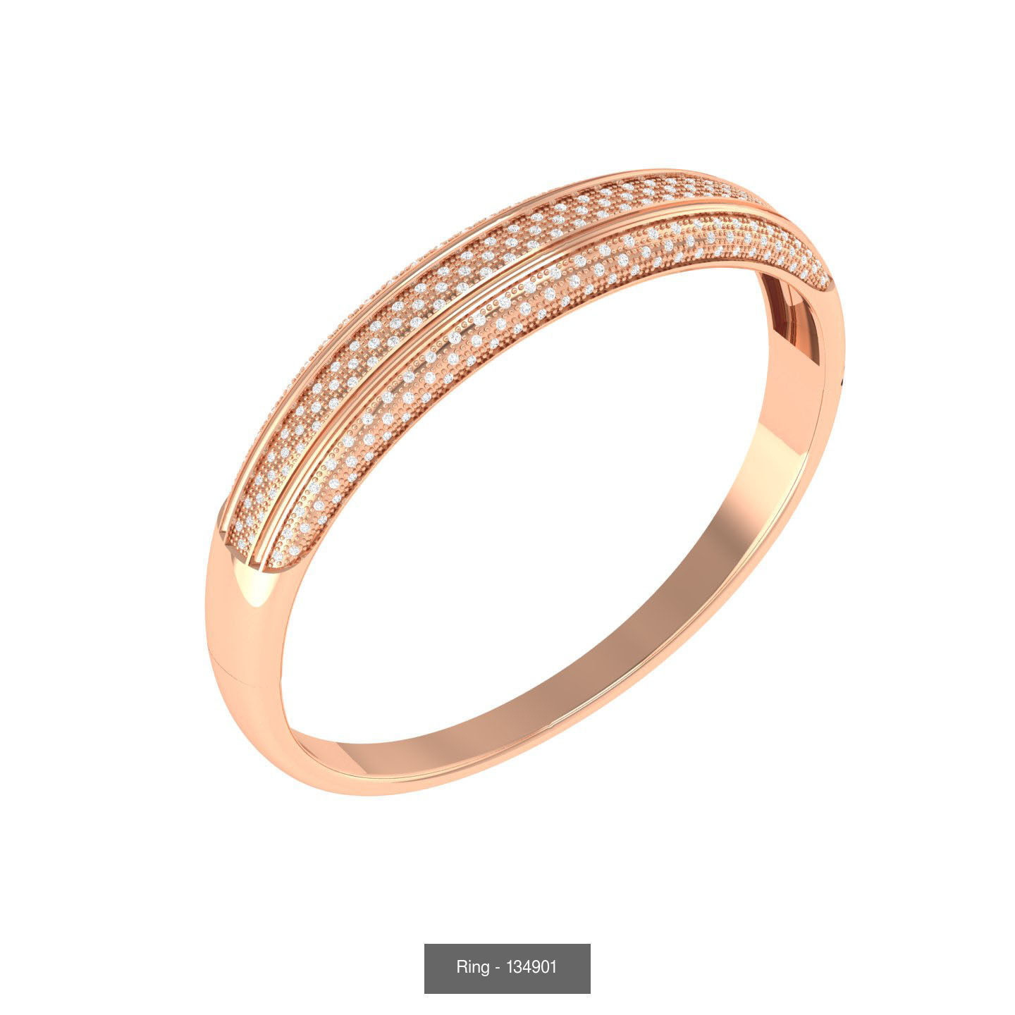 100 Bands rings  3D Model Collection_87