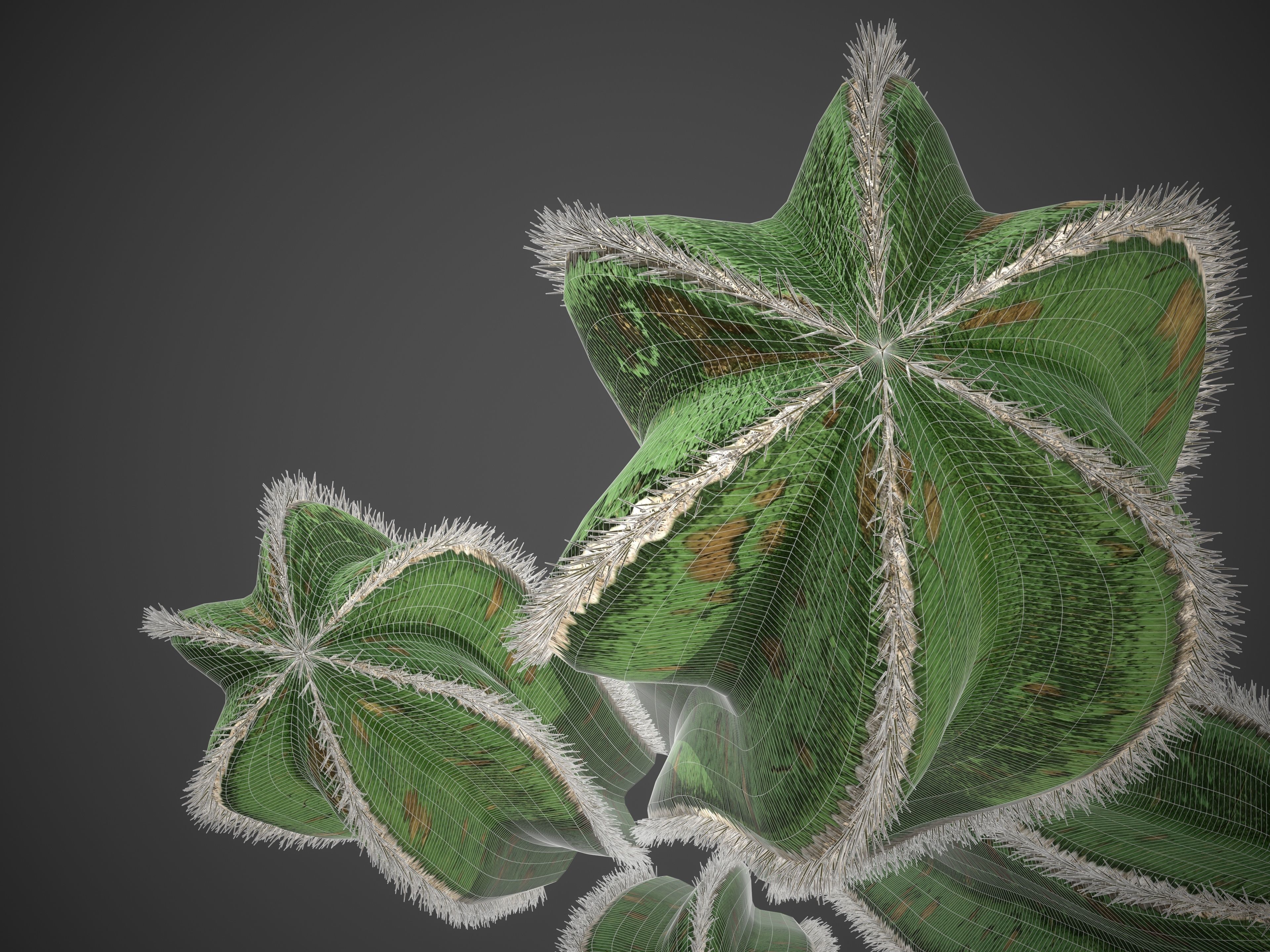 XfrogPlants Mexican Fence Post - Pachycereus Marginatus 3D model_11