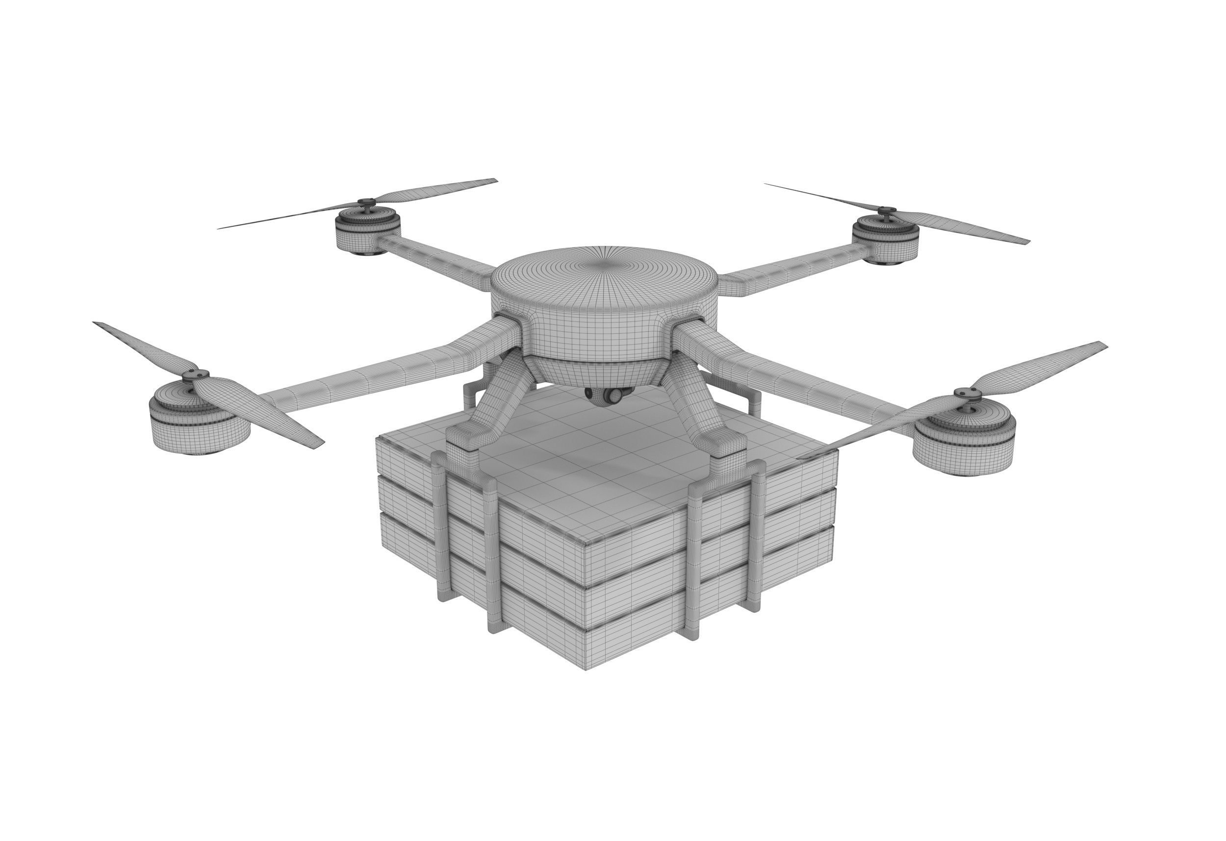 Pizza Delivery Drone  3D model_7