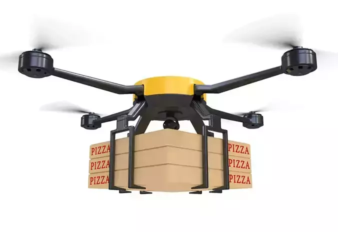 Pizza Delivery Drone 