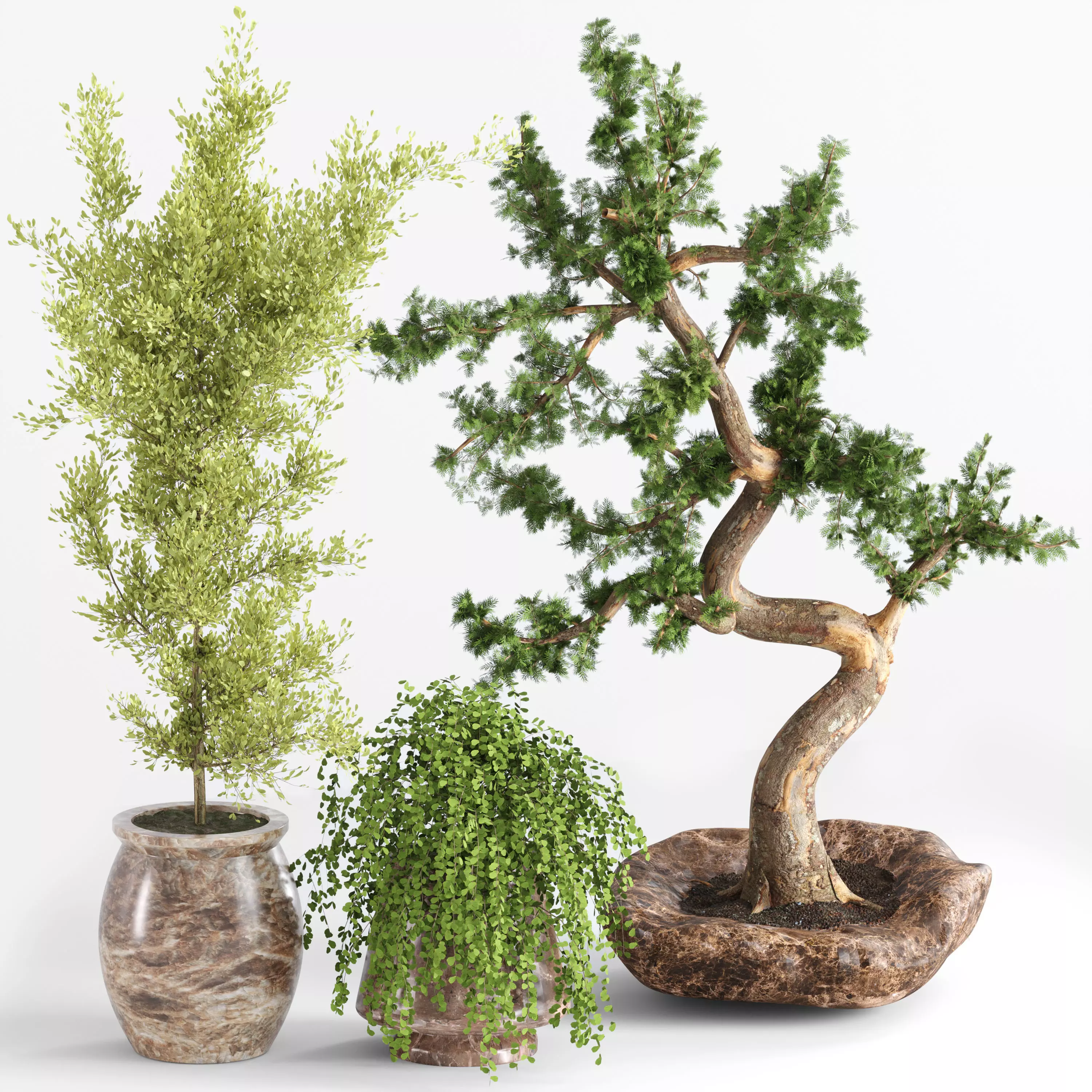 indoor plant collection002 3D model