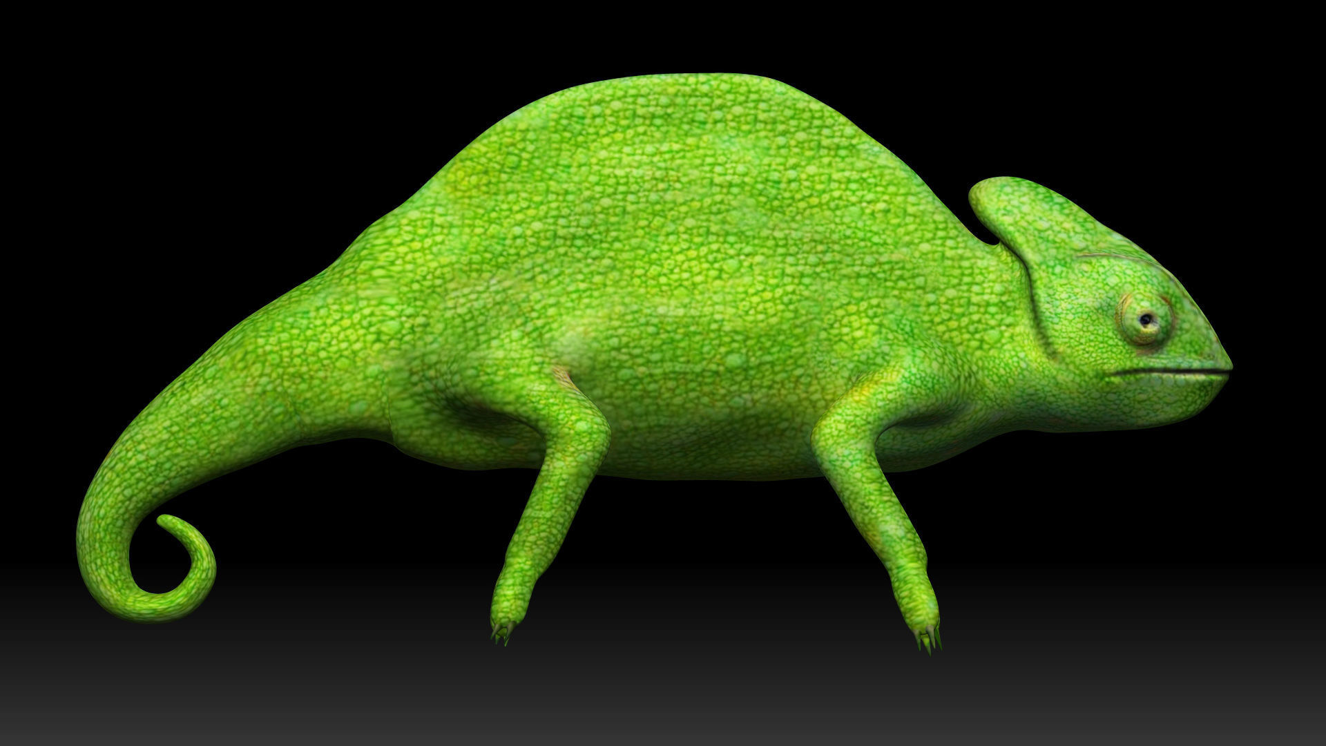 Green Chameleon Low-poly 3D model_4