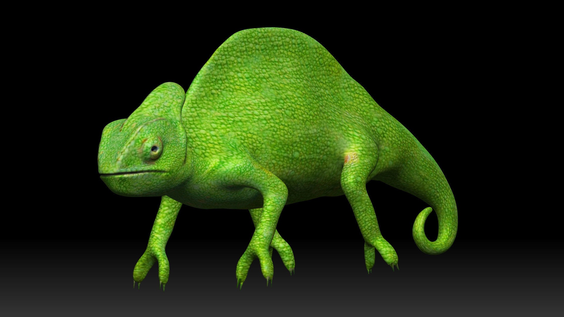 Green Chameleon Low-poly 3D model_3