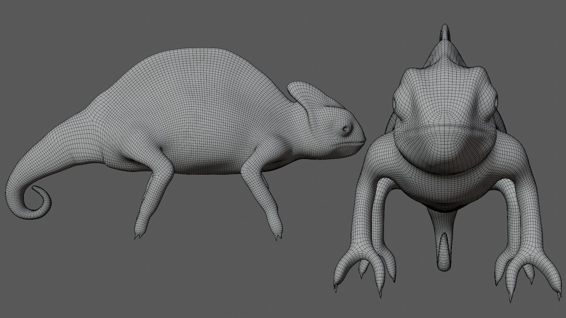 Green Chameleon Low-poly 3D model_7