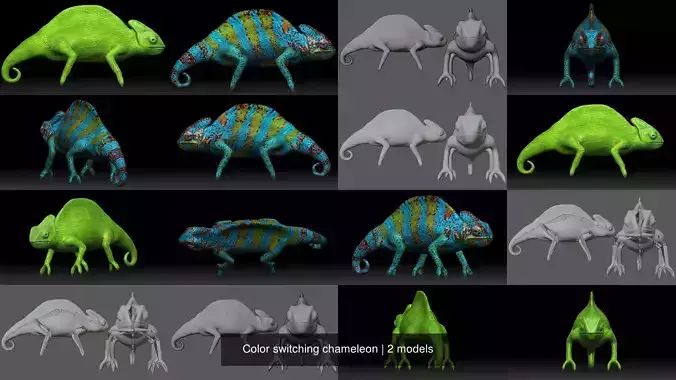 Color switching chameleon