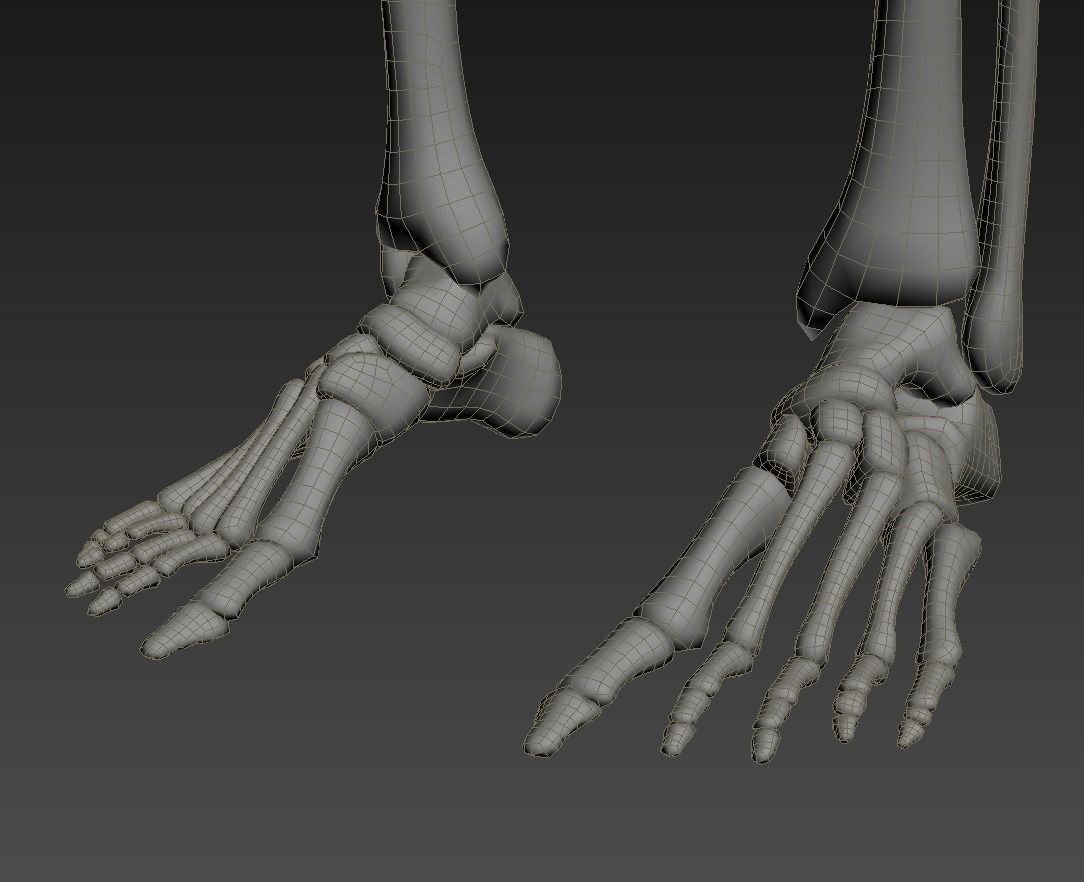 Human skeleton rigged Low-poly 3D model_28