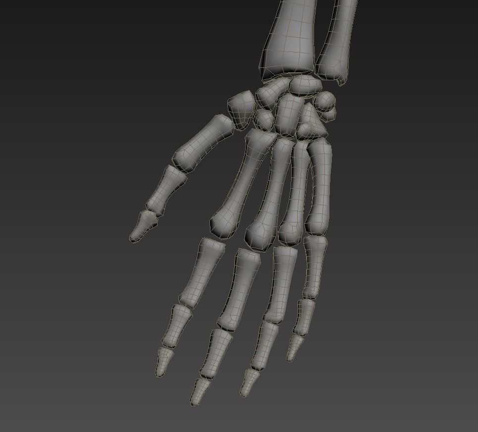 Human skeleton rigged Low-poly 3D model_25