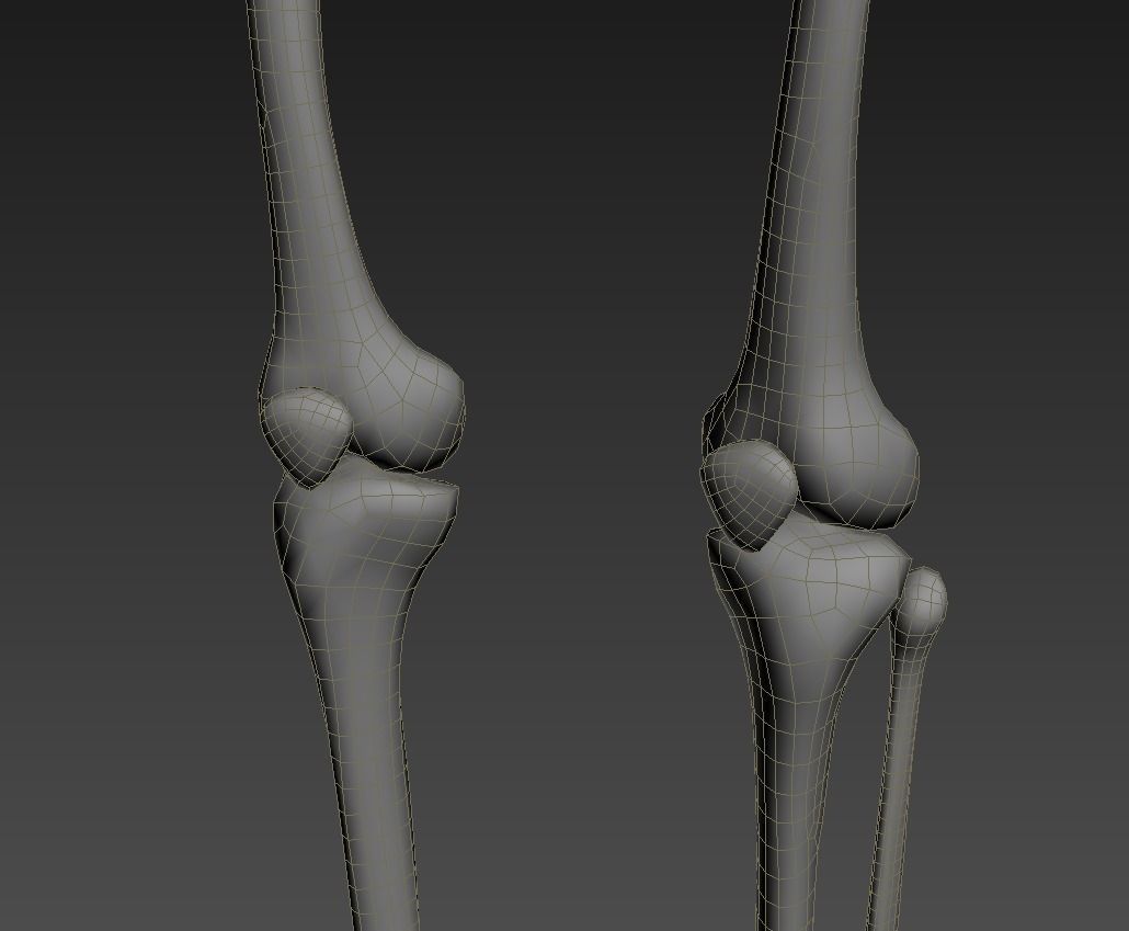 Human skeleton rigged Low-poly 3D model_26