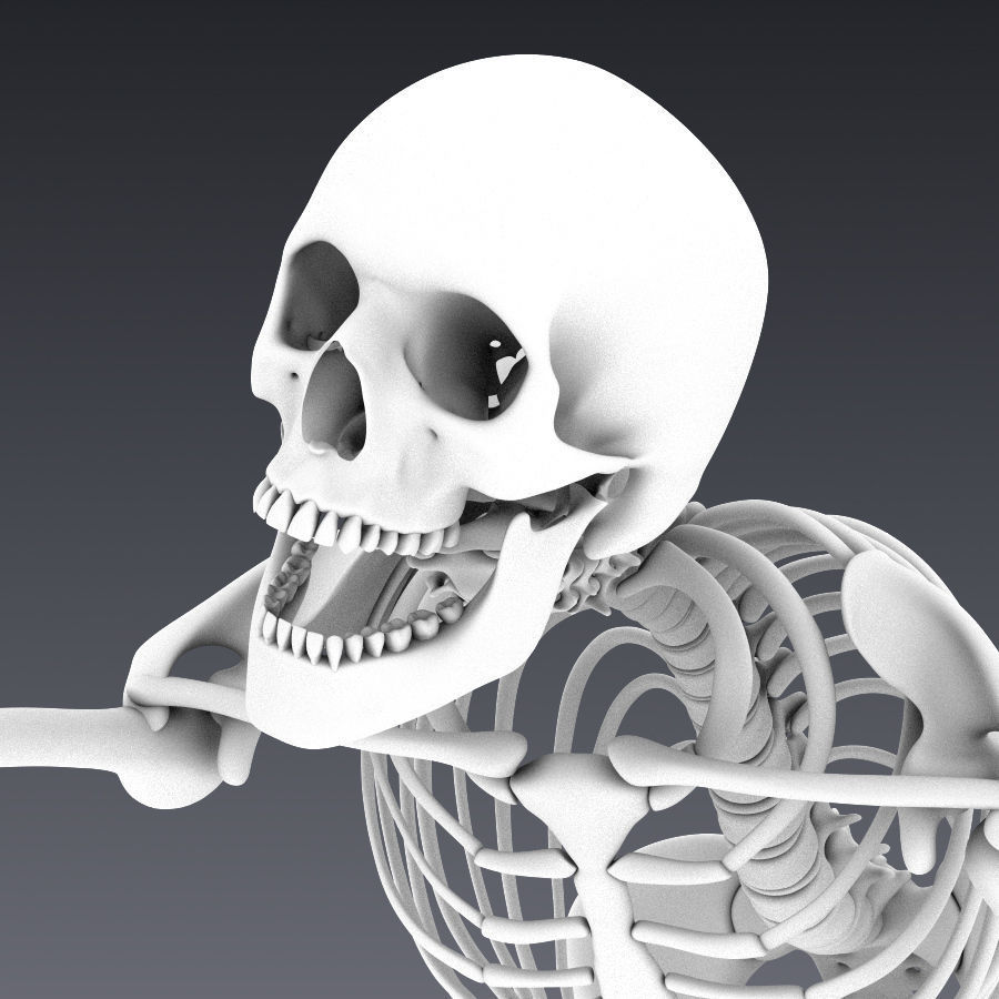 Human skeleton rigged Low-poly 3D model_13