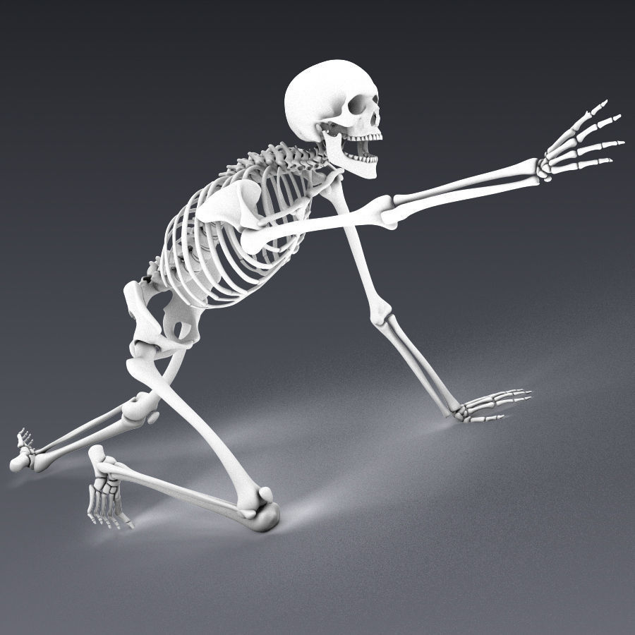 Human skeleton rigged Low-poly 3D model_16