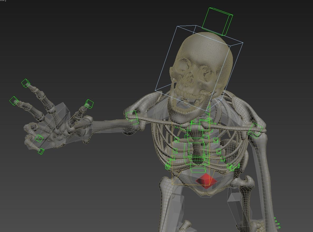 Human skeleton rigged Low-poly 3D model_34