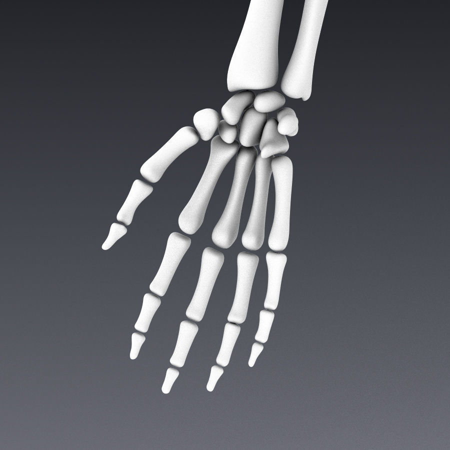 Human skeleton rigged Low-poly 3D model_19