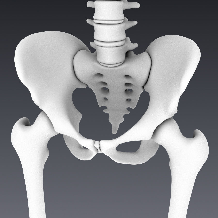Human skeleton rigged Low-poly 3D model_15