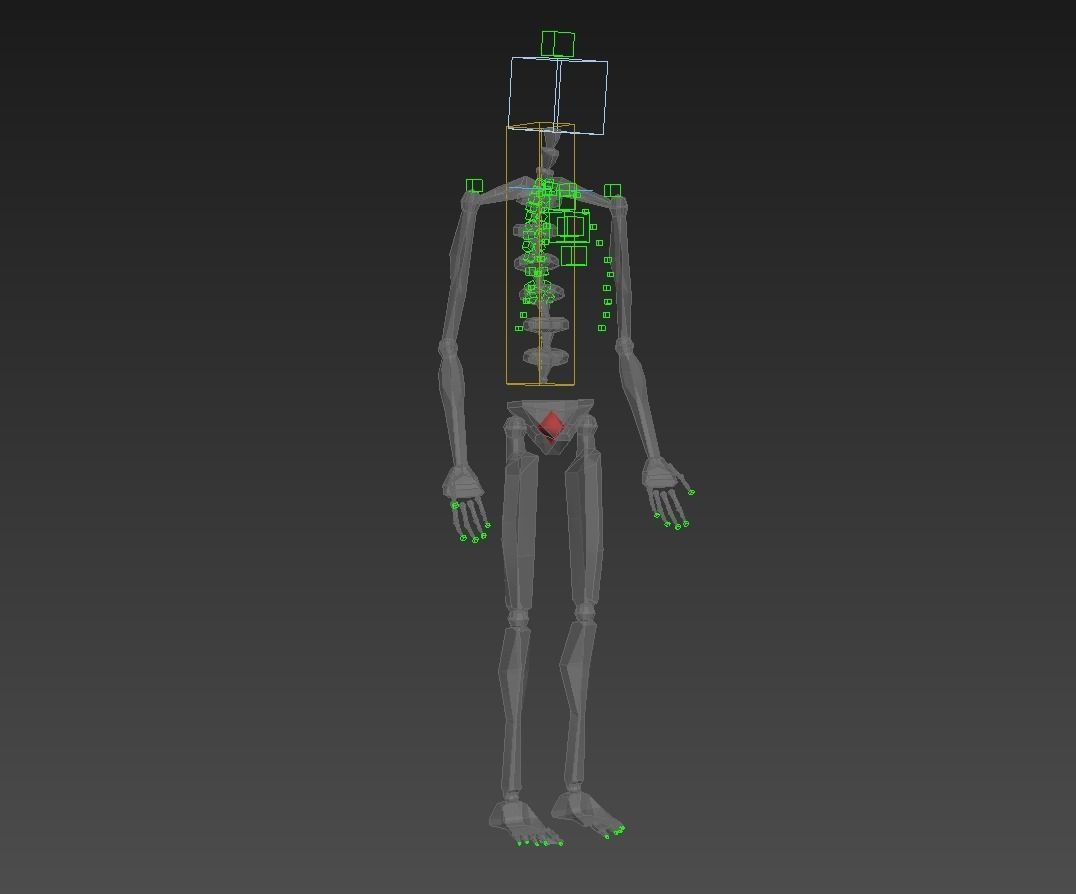 Human skeleton rigged Low-poly 3D model_31