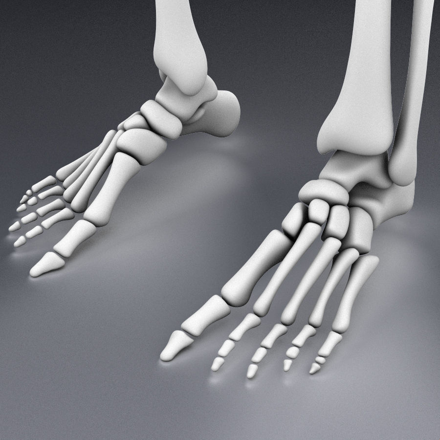 Human skeleton rigged Low-poly 3D model_21