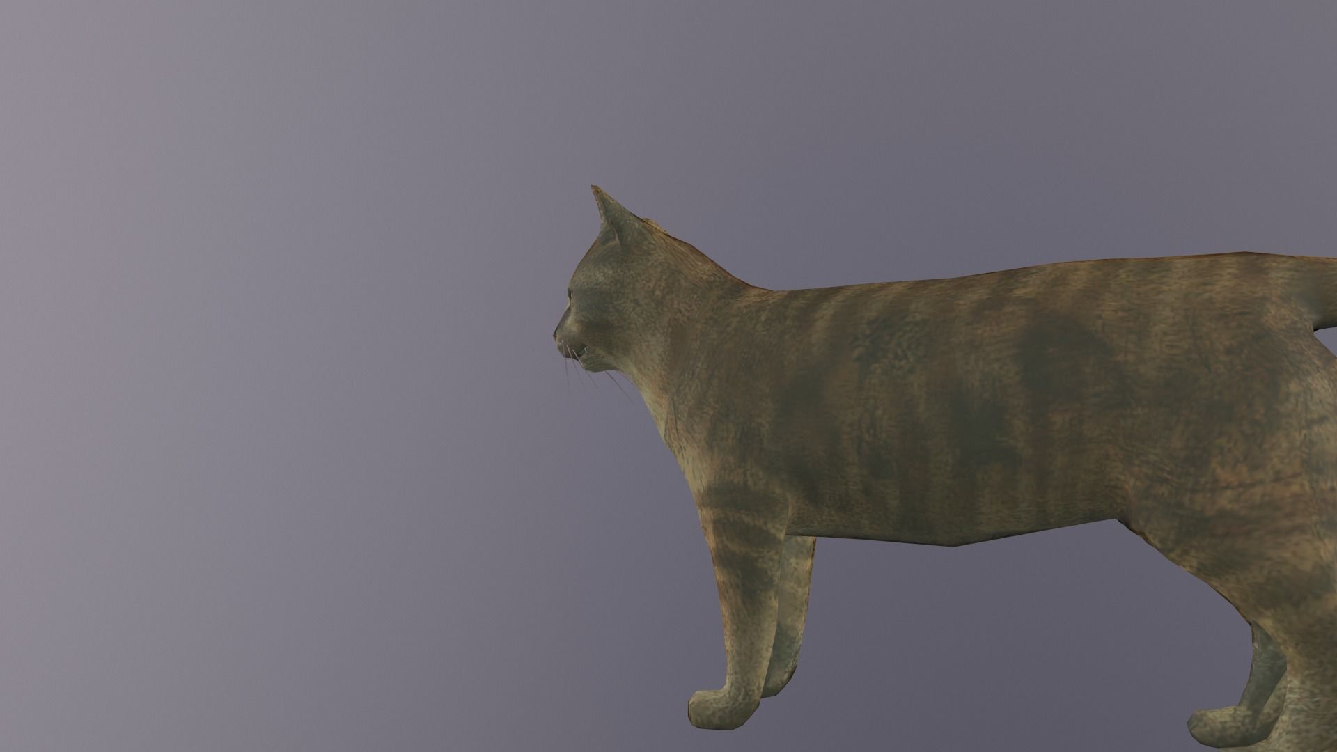 Cat Model 3d with eyes Low-poly 3D model_6