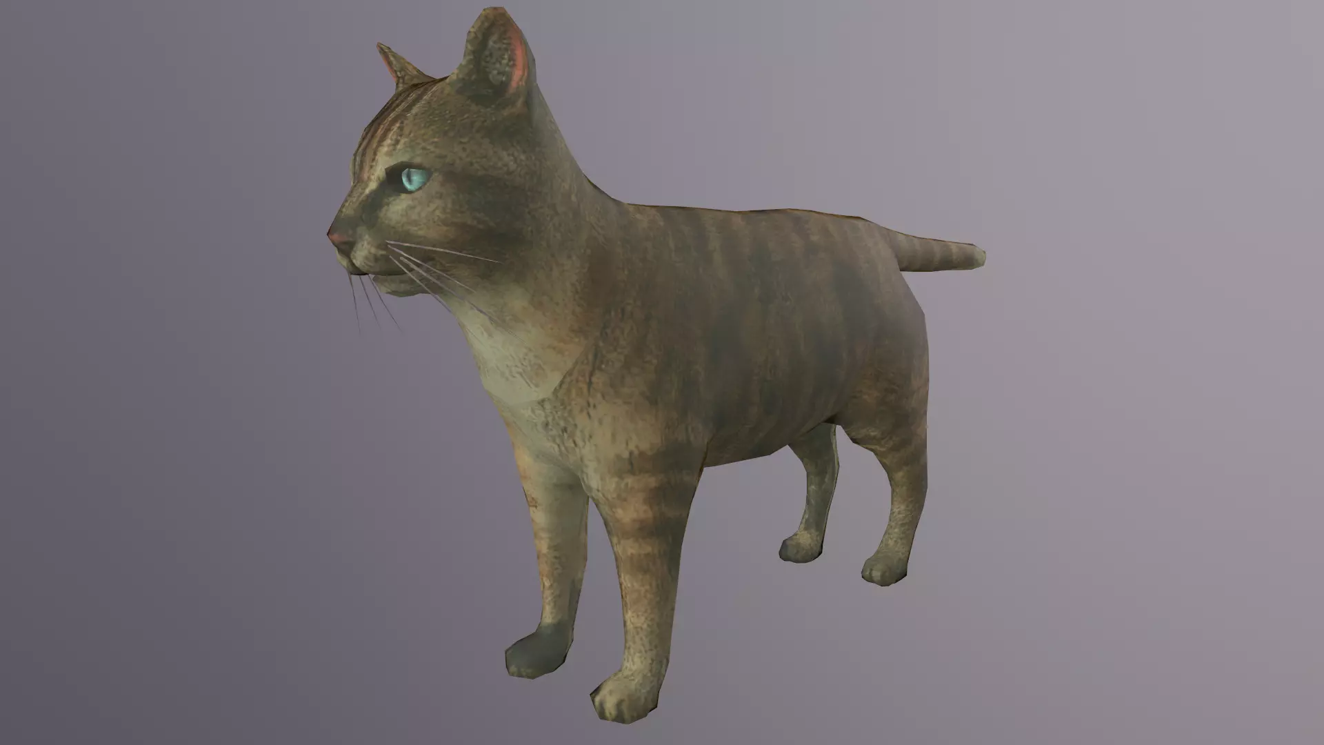 Cat Model 3d with eyes Low-poly 3D model_0