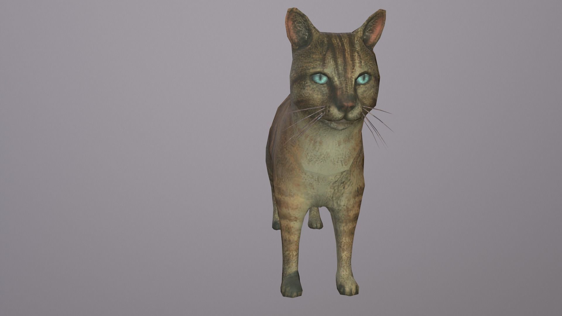 Cat Model 3d with eyes Low-poly 3D model_3