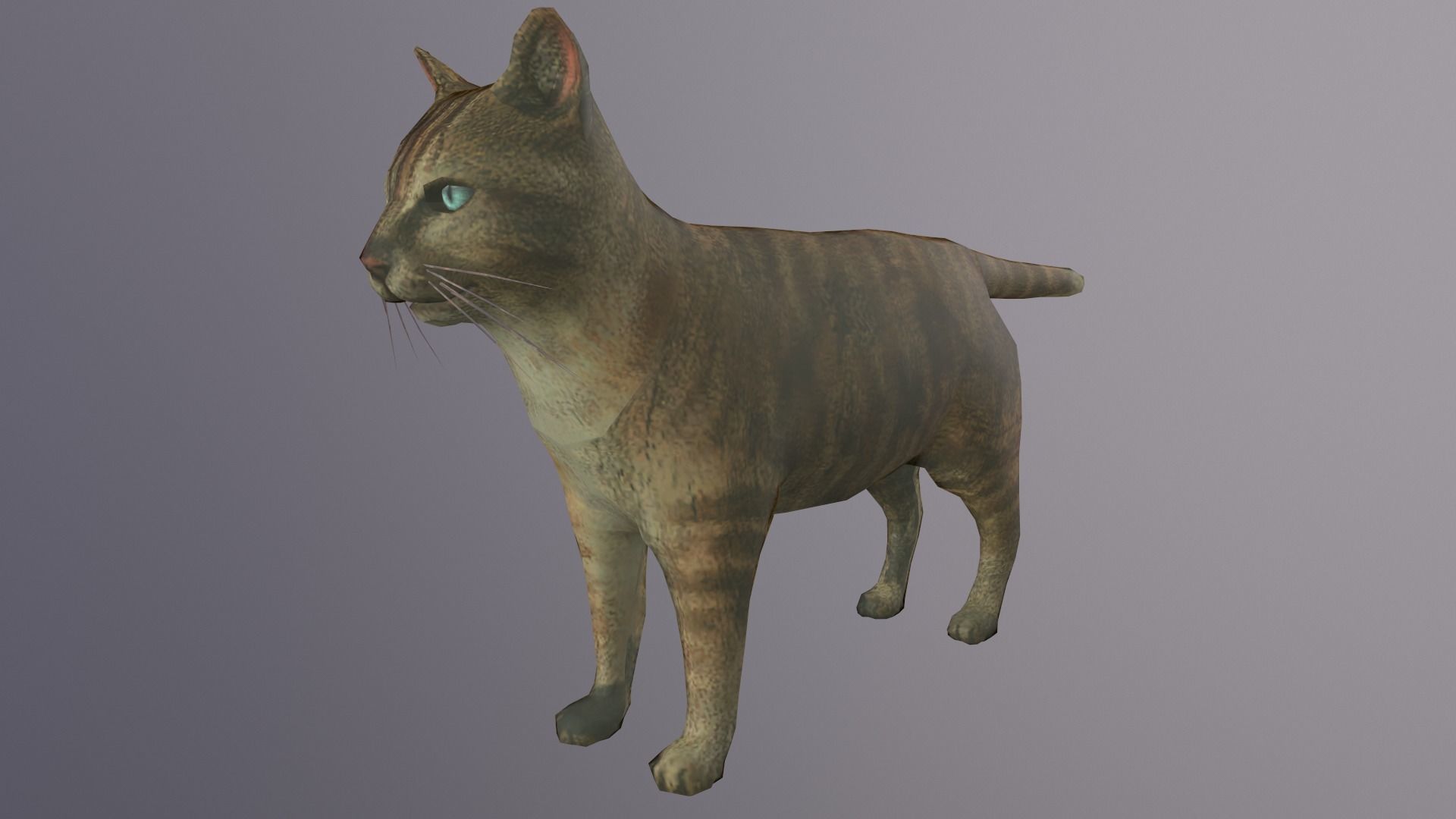 Cat Model 3d with eyes Low-poly 3D model_1