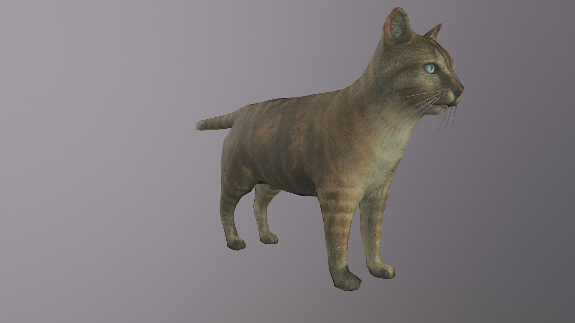 Cat Model 3d with eyes Low-poly 3D model_4