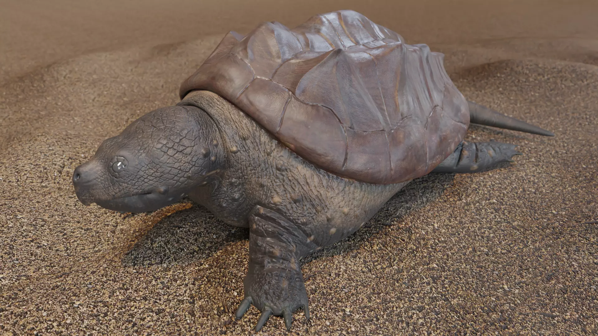 Game Turtle Model Low-poly 3D model_0