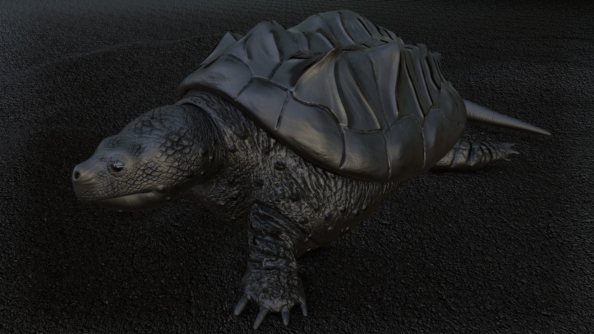 Game Turtle Model Low-poly 3D model_4