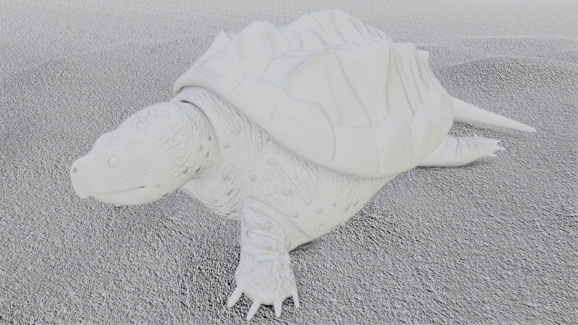 Game Turtle Model Low-poly 3D model_2