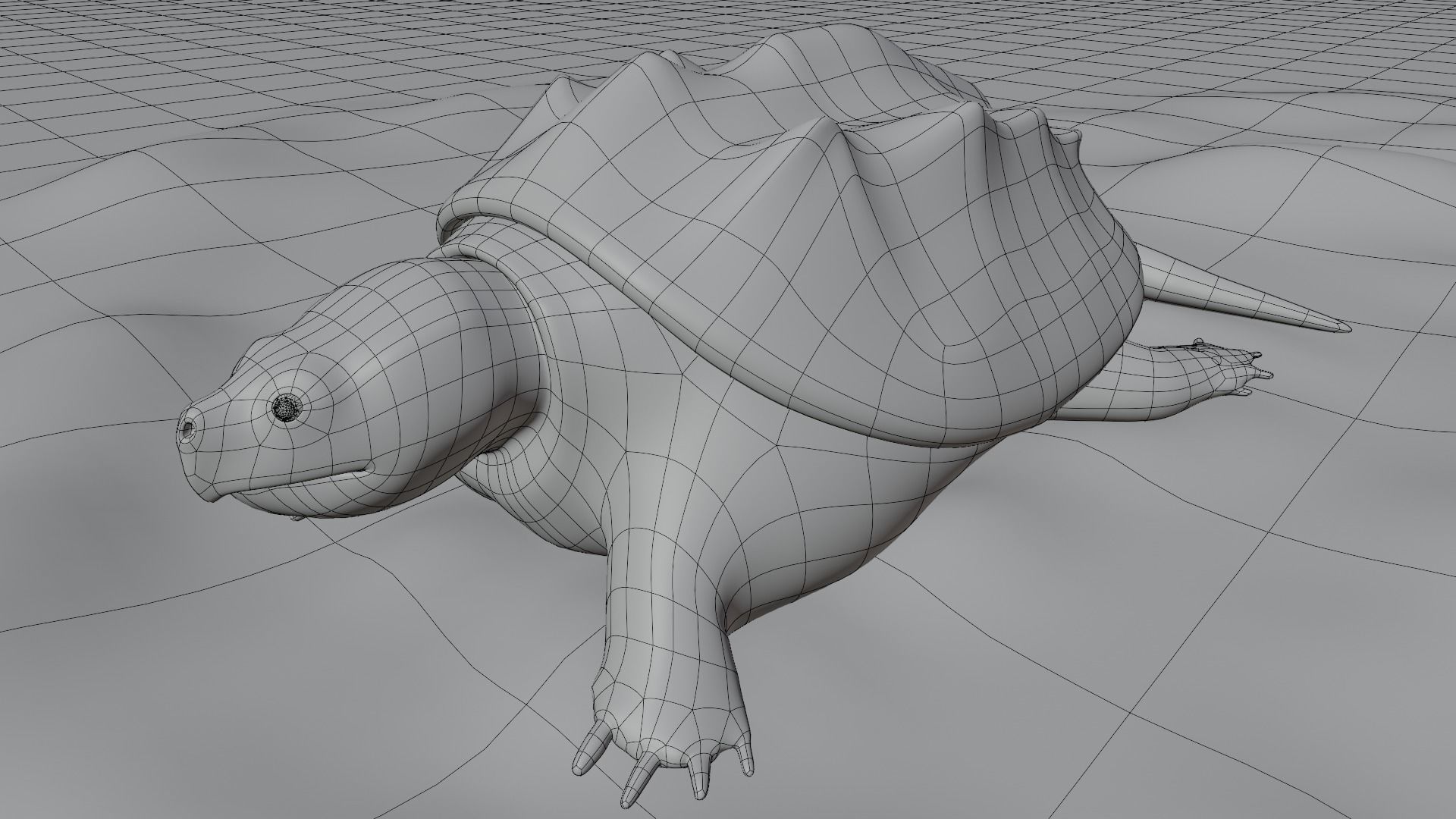 Game Turtle Model Low-poly 3D model_5