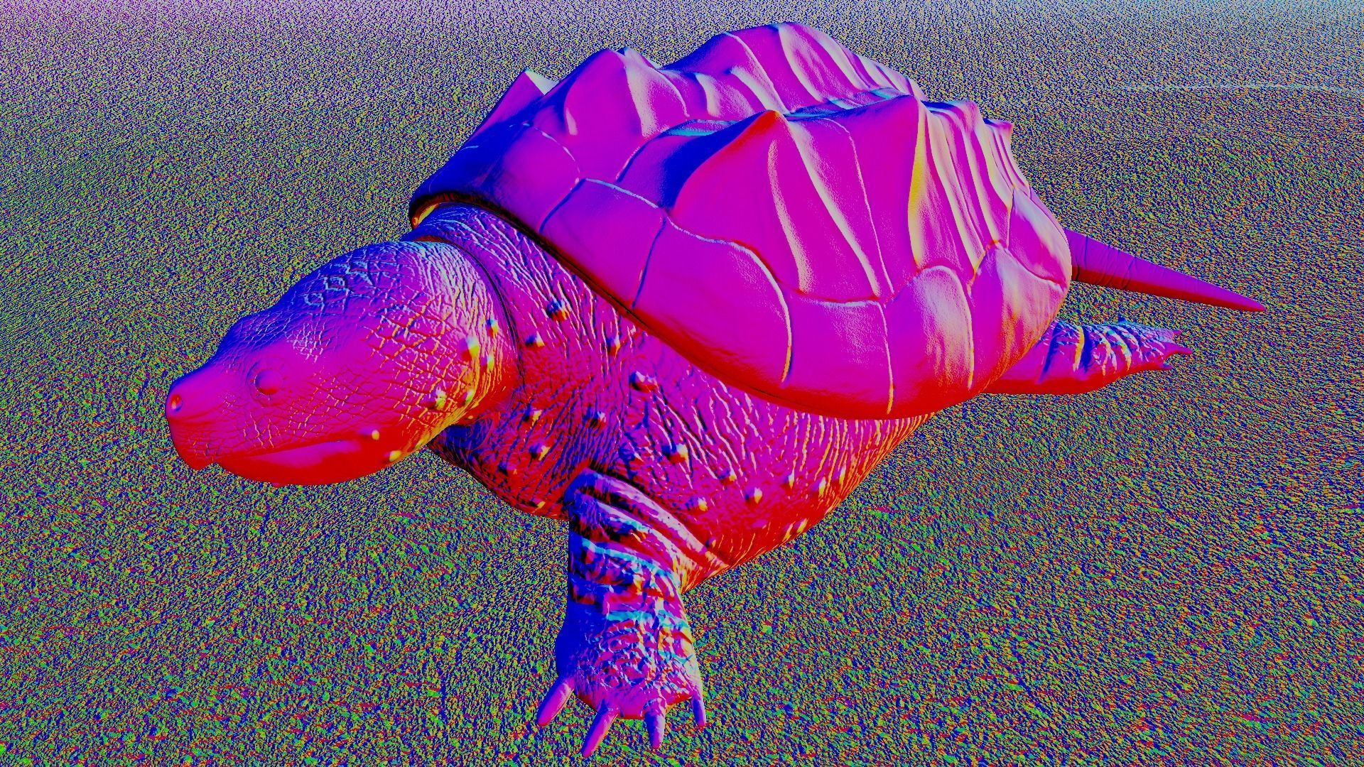 Game Turtle Model Low-poly 3D model_3