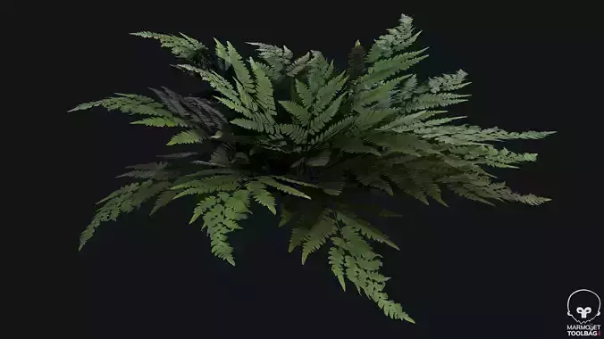 Fern 1 PBR Game Ready plant