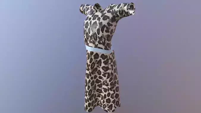 Dress2 leopard dress on hanger