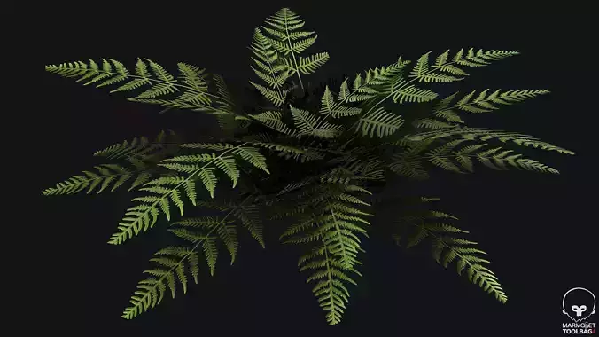 Fern 2 PBR Game Ready