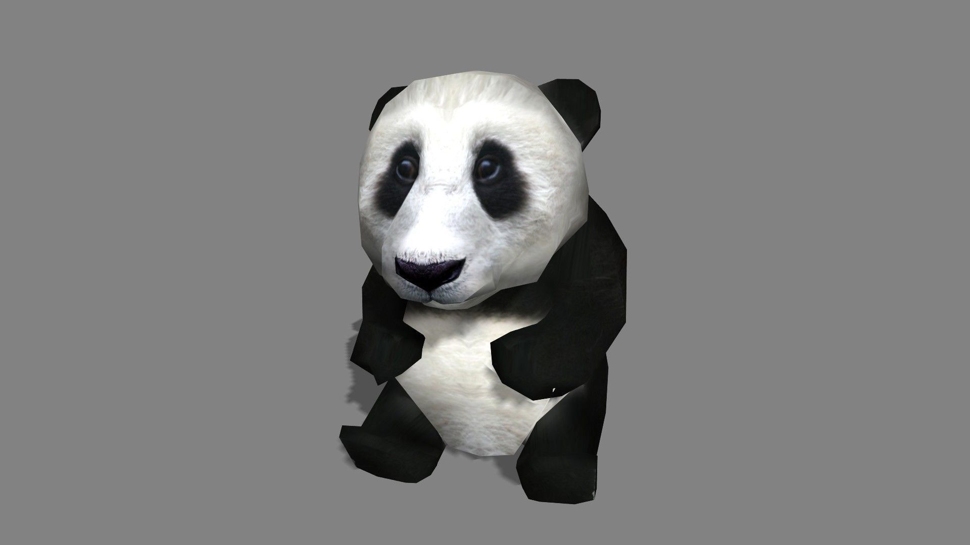 BabyPanda panda bear Low-poly 3D model_6
