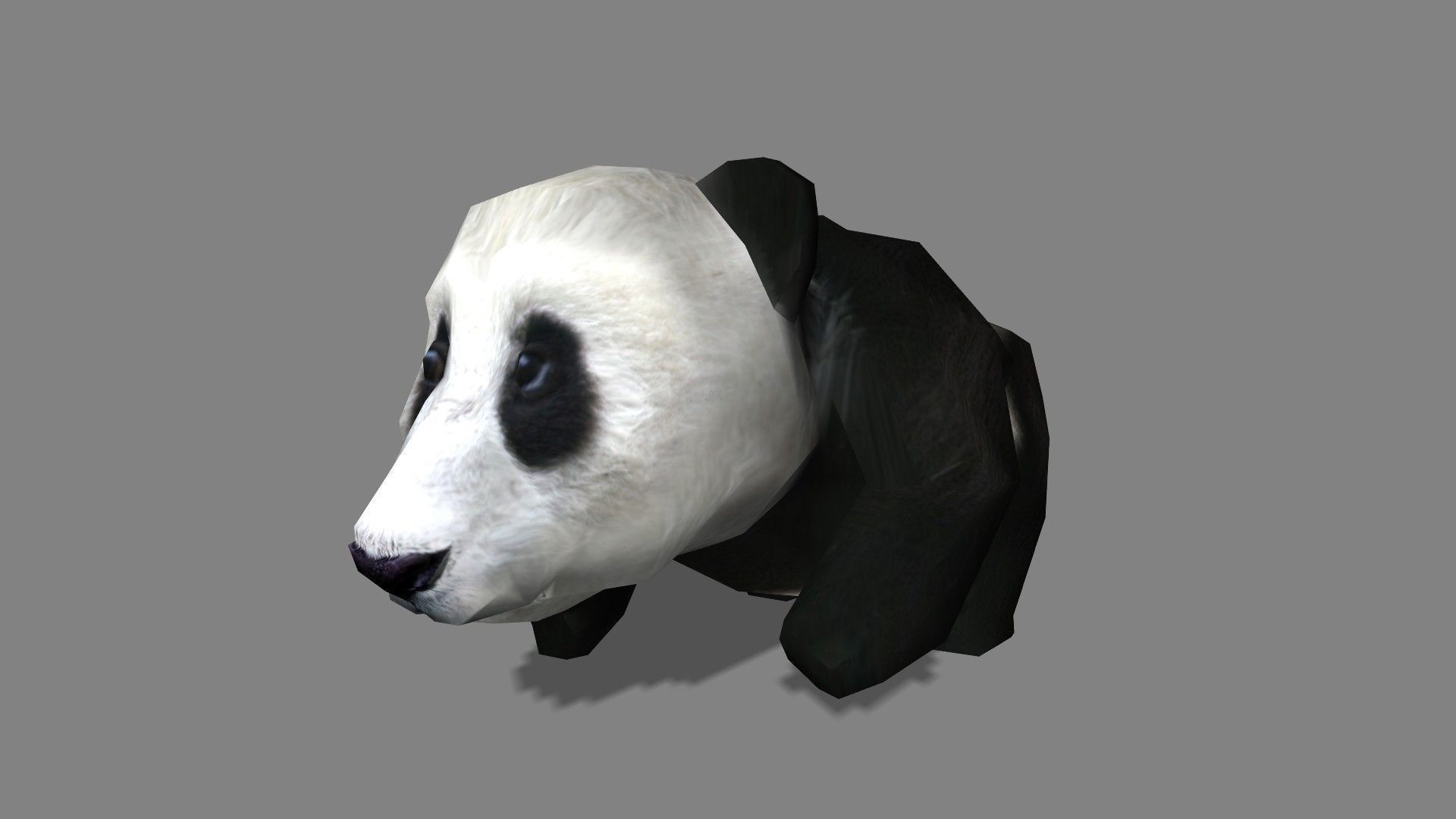 BabyPanda panda bear Low-poly 3D model_5