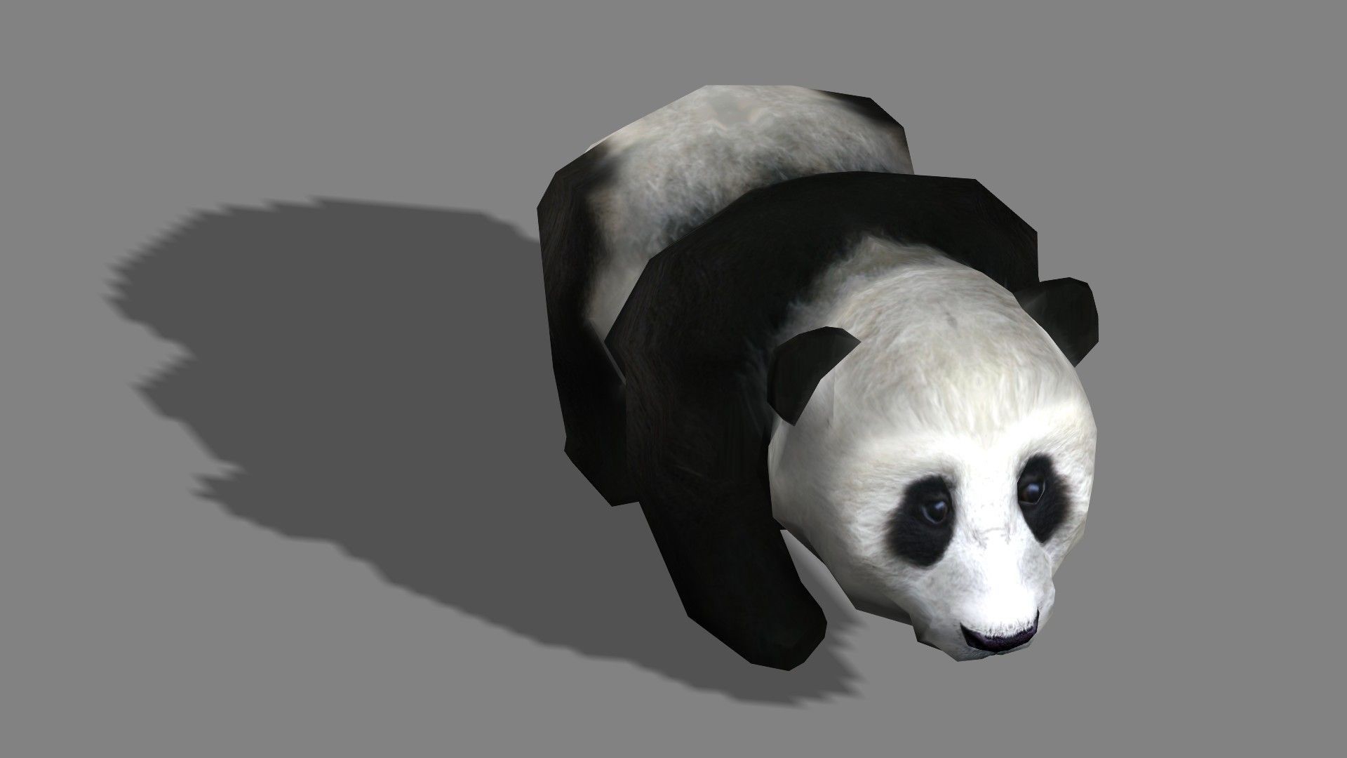 BabyPanda panda bear Low-poly 3D model_7