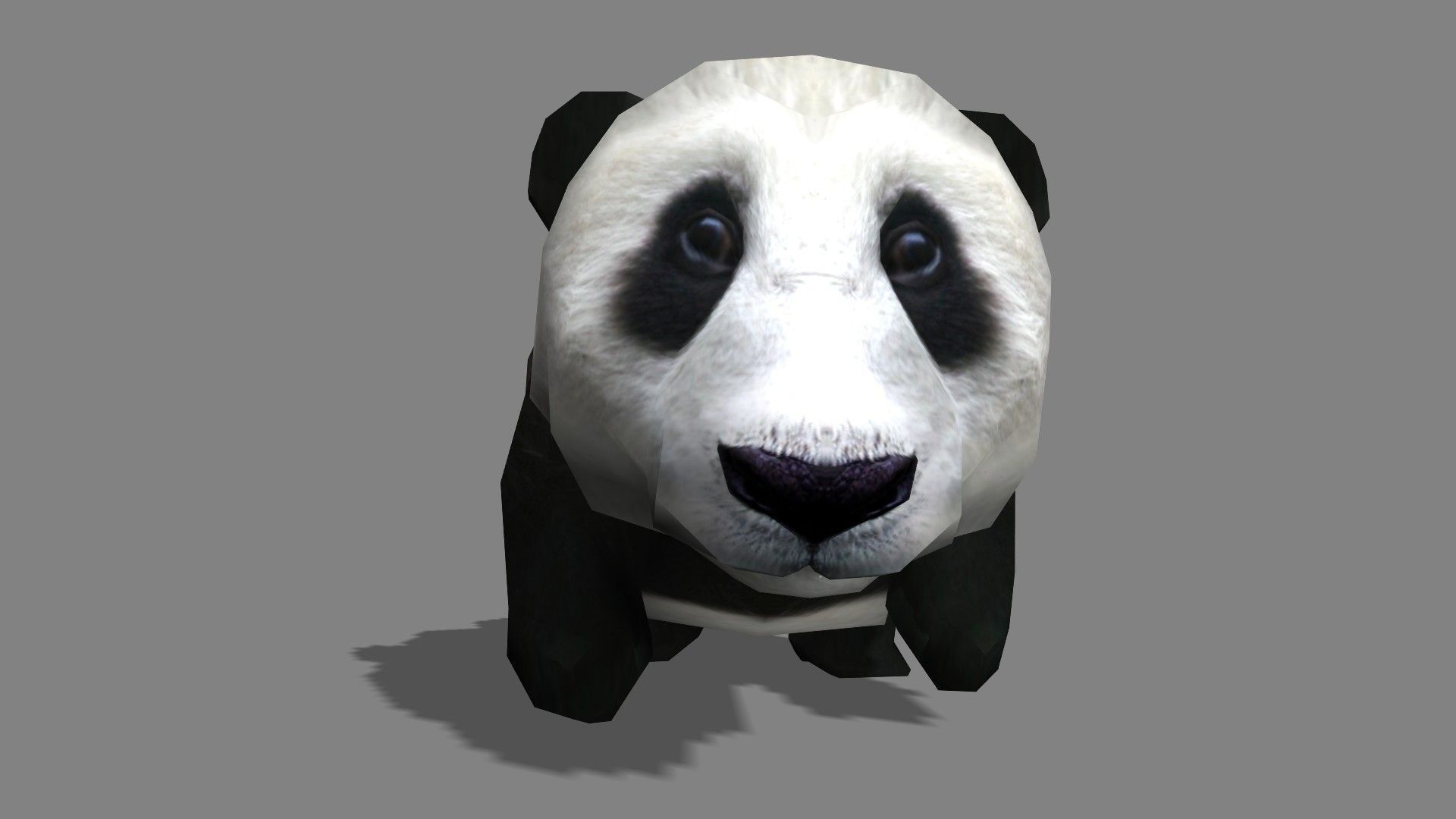 BabyPanda panda bear Low-poly 3D model_2