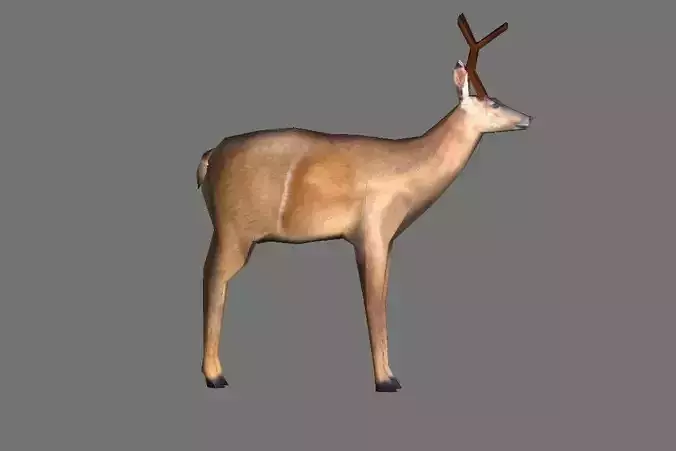 Brown Deer Low Poly