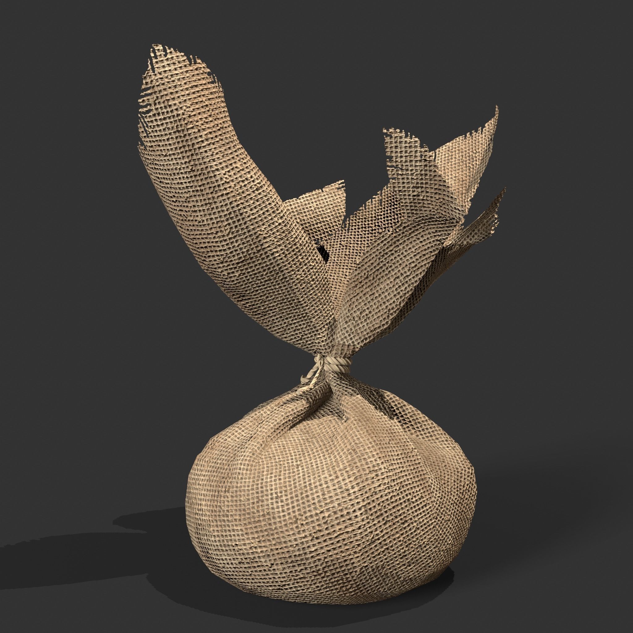 Medieval Cheese Sacks Low-poly 3D model_35