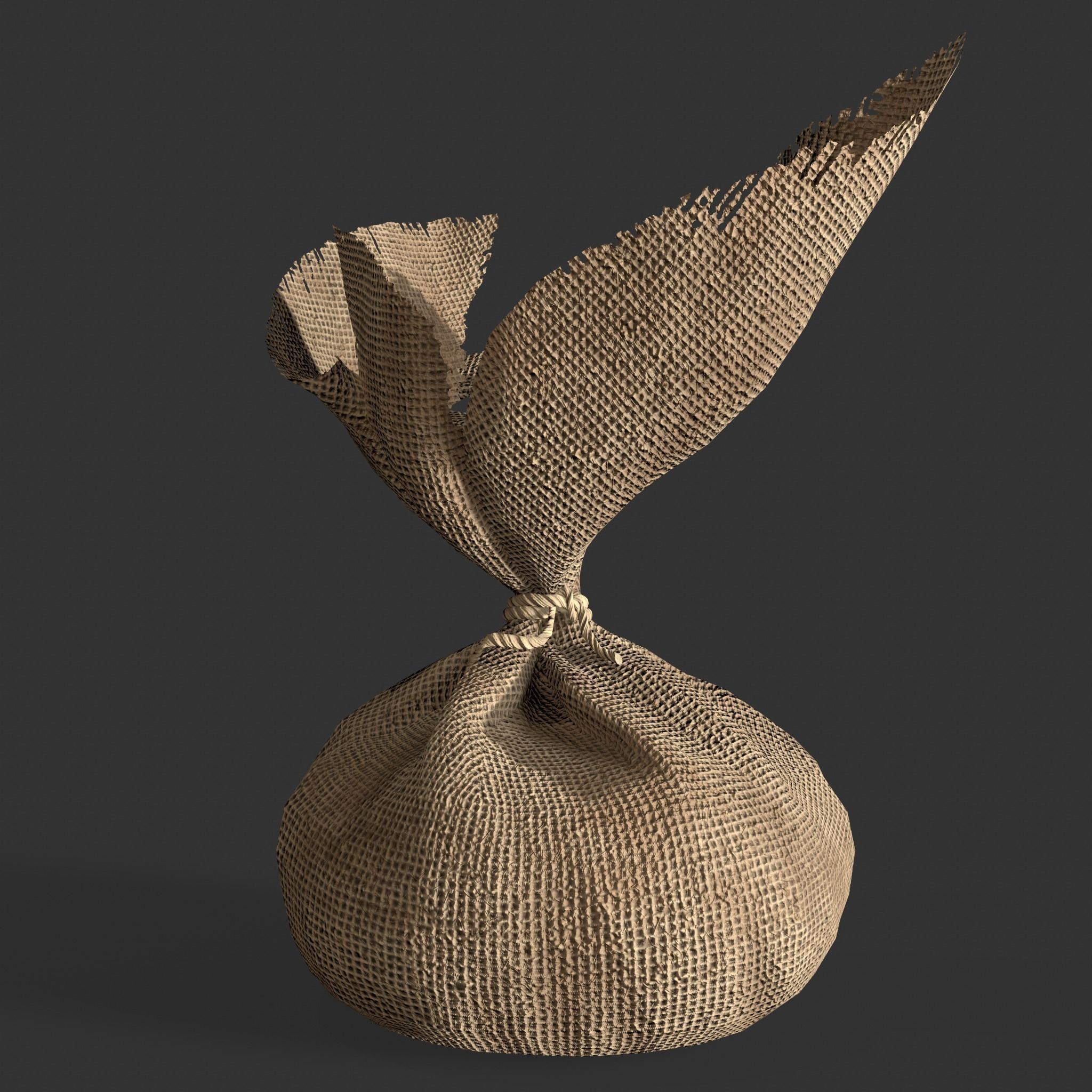 Medieval Cheese Sacks Low-poly 3D model_36