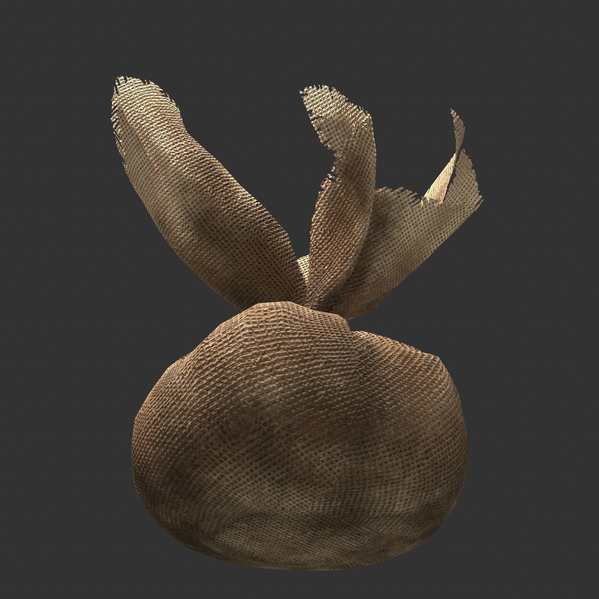 Medieval Cheese Sacks Low-poly 3D model_26